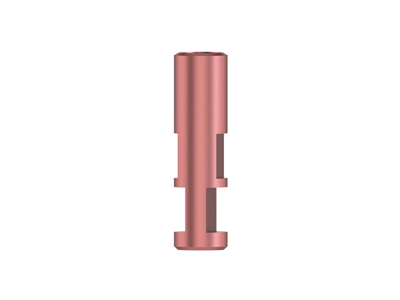 IPS - Analogue d'implant - NI