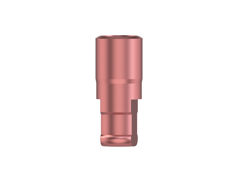 IPS - Analogue d'implant CFAO - NI