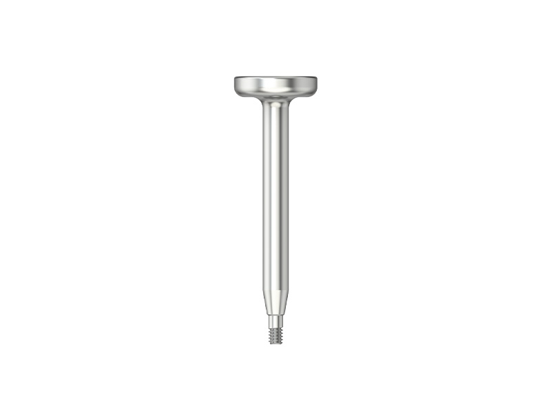 IPS - Instrument d'insertion pour analogue d'implant CFAO - NI