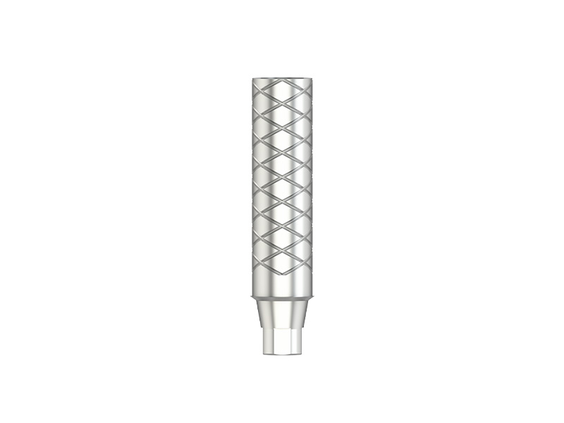 IPS - Pilier provisoire - NI