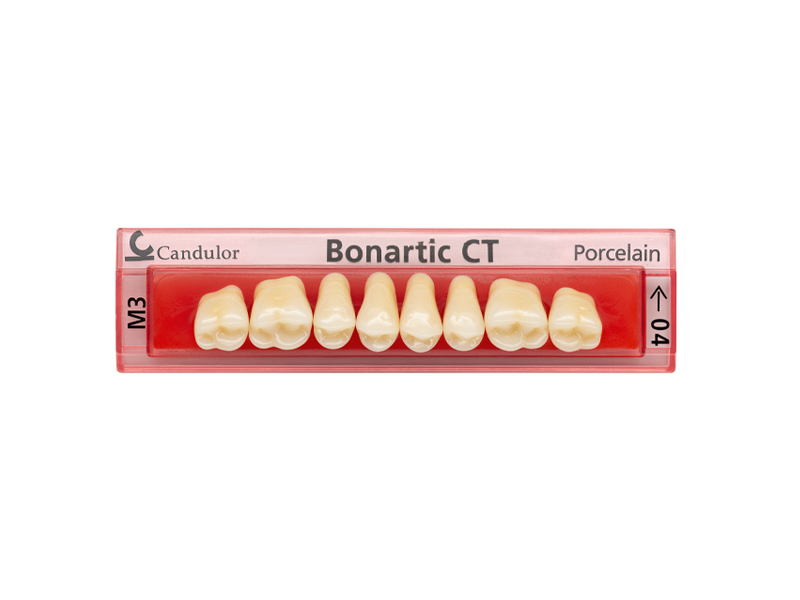 Dents postérieures Bonartic porcelaine teintes Candulor S3/03-