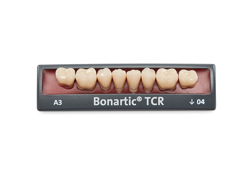 Dents postérieures Bonartic TCR S2/08+