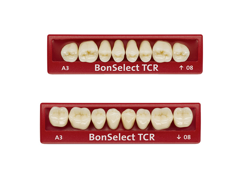 Dents postérieures résine BonSelect TCR D4/08+