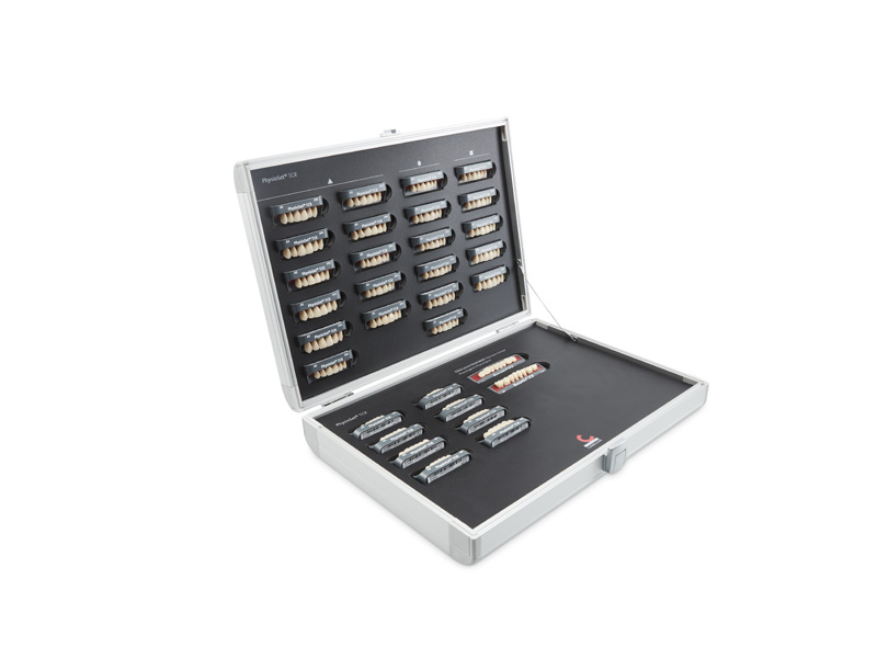 Carte de Formes Vivantes Physioset TCR A1