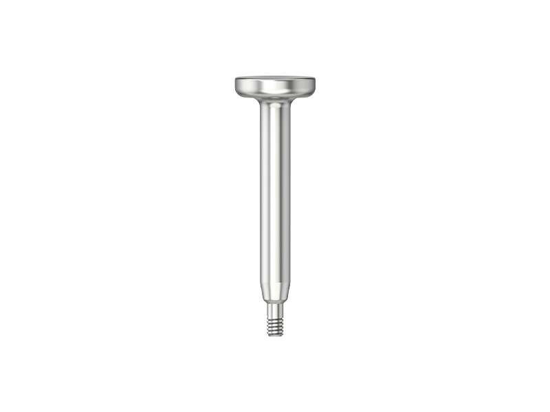 IPS - Instrument d'insertion pour analogue d'implant CFAO - RI