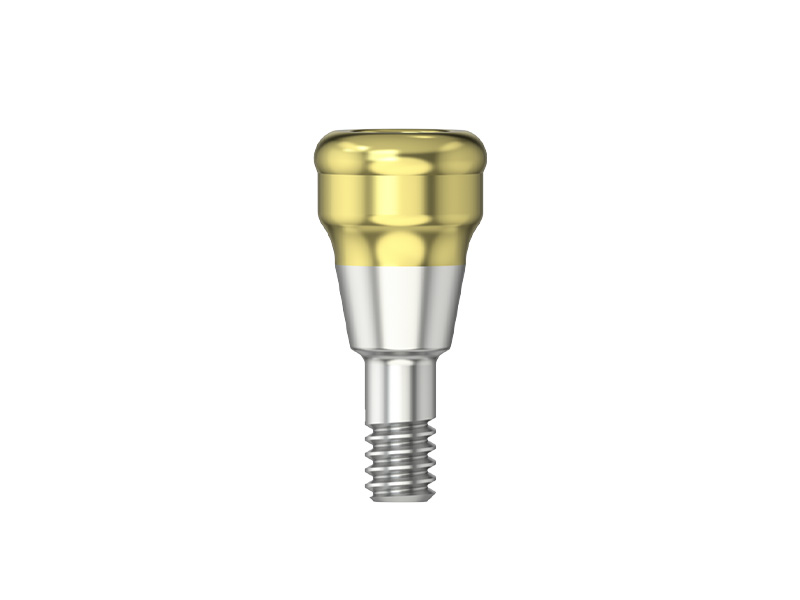 IPS - Pilier MedentiLOC - RI - HG 1.5