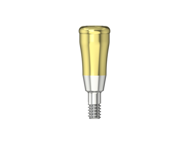 IPS - Pilier MedentiLOC - RI - HG 4.5