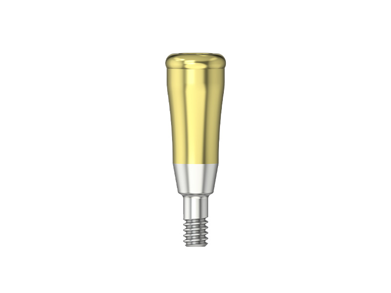 IPS - Pilier MedentiLOC - RI - HG 5.5