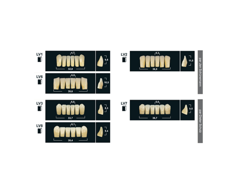 Dents antérieures résine Tribos 501 - Plaquette de 6 A1/L3