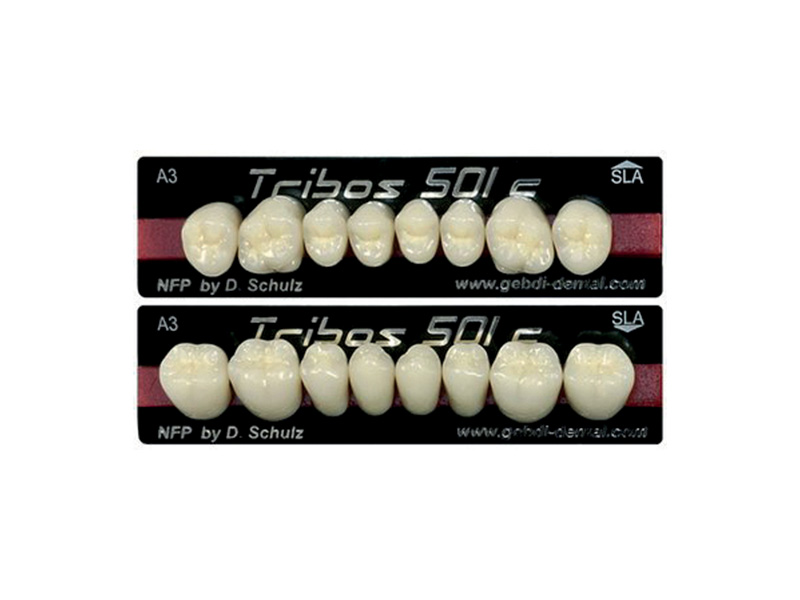 Dents postérieures composite Tribos 501C - Plaquette de 8 A1/SLAC-