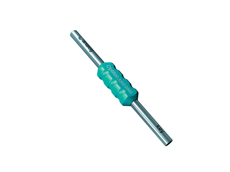 Instrument pour le repositionnement et l'insertion de l'analogue