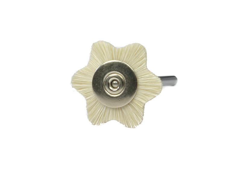 Brossette Etoile pour PM en Poils de chèvre blanc - Etoile - ø 19 mm - 12 Pièces