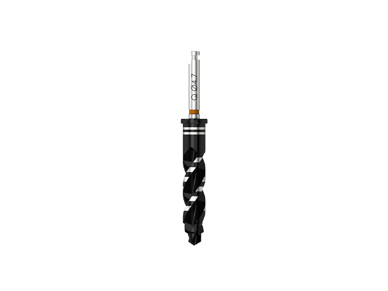 Quattrocone - Foret standard - long - D 2.9/4.0/4.7 (brun) - L 25