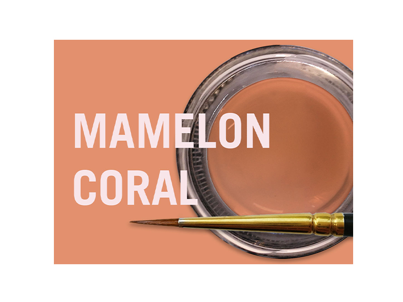 MiYo Mamelon Coral fluorescent en pâte - 4 g