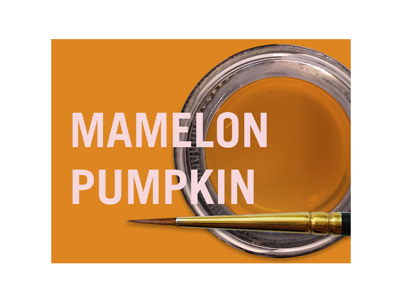 MiYo Mamelon Pumpkin fluorescent en pâte - 4 g