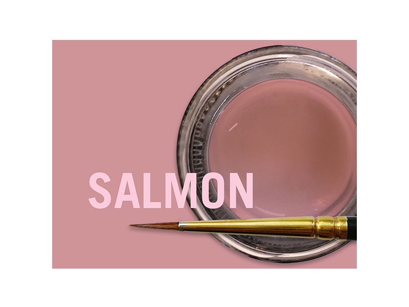 MiYo Gingiva Color Salmon en pâte - 4 g