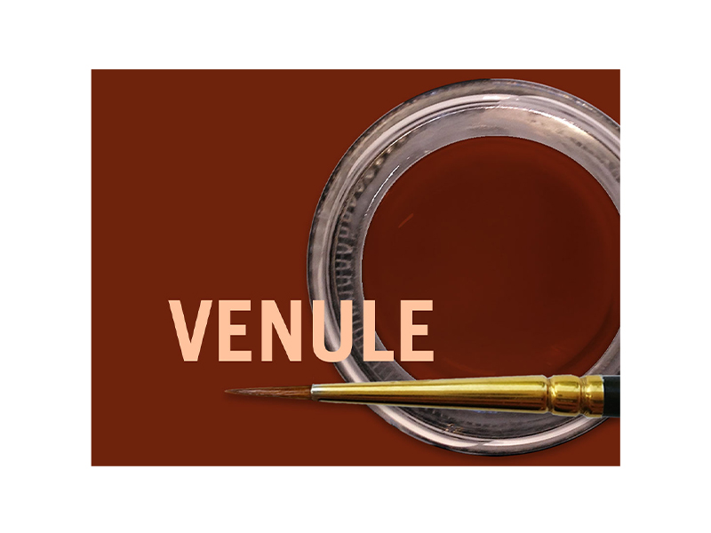 MiYo Gingiva Color Venule en poudre - 4 g