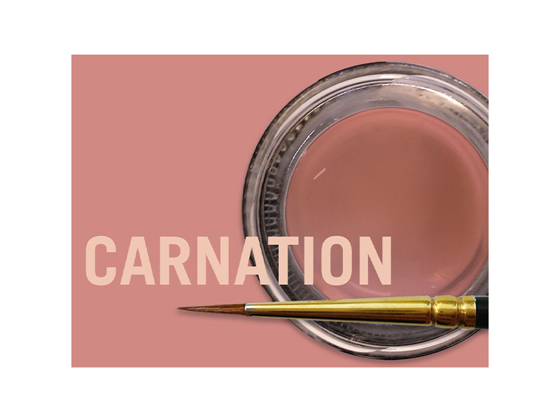MiYo Gingiva Translucent Carnation en pâte - 4 g