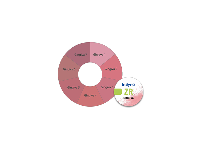 InSync ZR Gingival 6 - 20 g