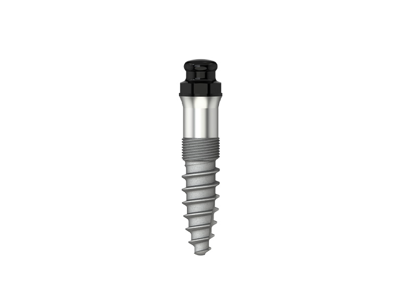 Minicone - Implant  - D 2.6 - L 8