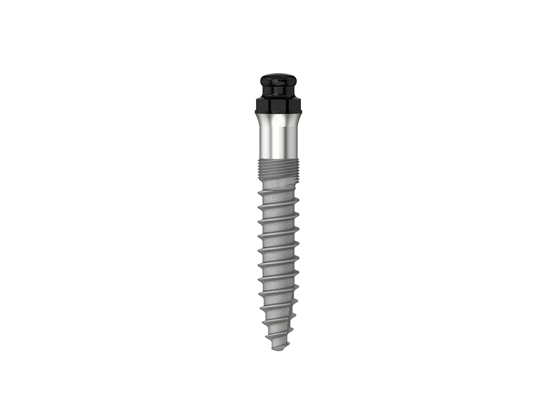 Minicone - Implant  - D 2.6 - L 12