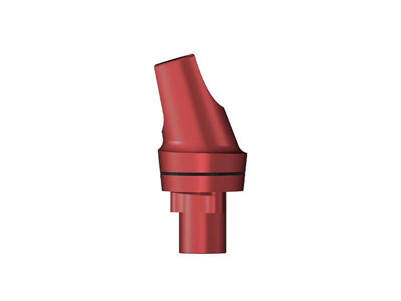***E-Serie - Pilier de planification angulé 16° HG 1,0/2,5 mm WP ø 5,0 mm type 2