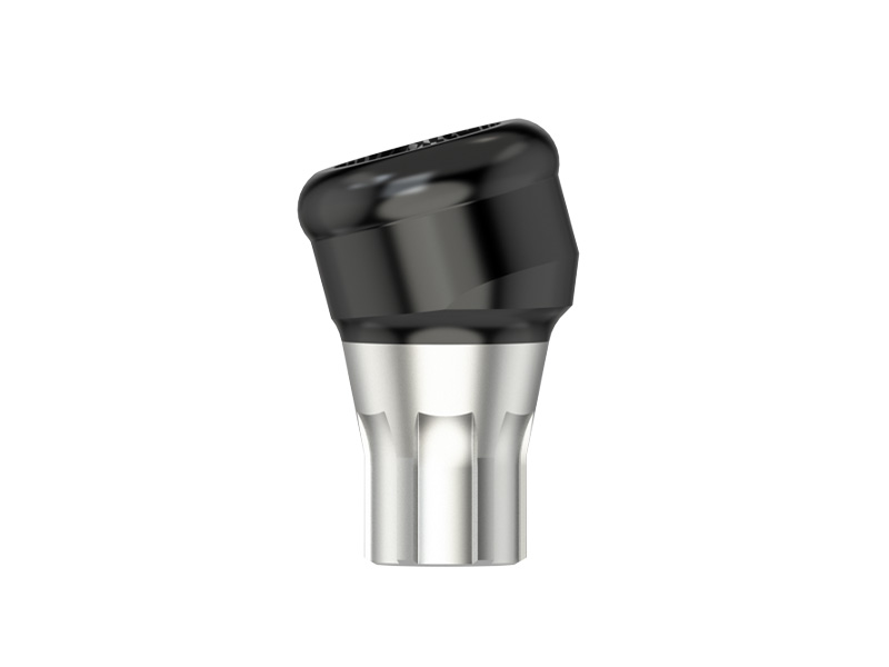 EV Série - Pilier Novaloc angulé 15° - D 3.6 - HG 1.0/2.0 - type 2