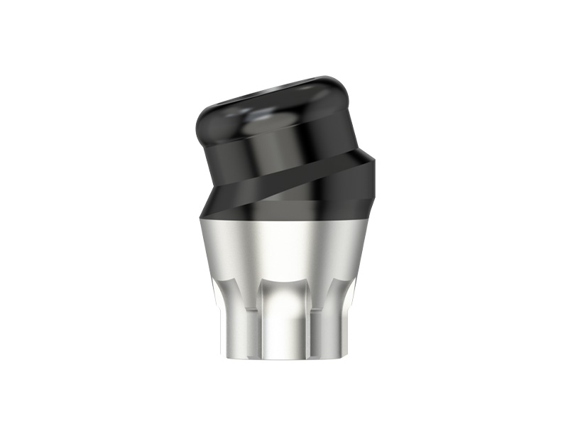 EV Série - Pilier Novaloc angulé 15° - D 4.8 - HG 1.0/2.0 - type 2