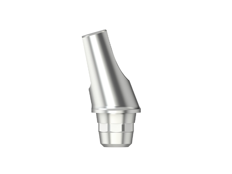N Série - Pilier standard angulé 16° - WN - HG 0 - type 1