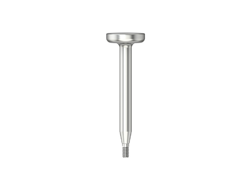 S Série - Instrument d'insertion pour analogue d'implant CFAO - D 3.0